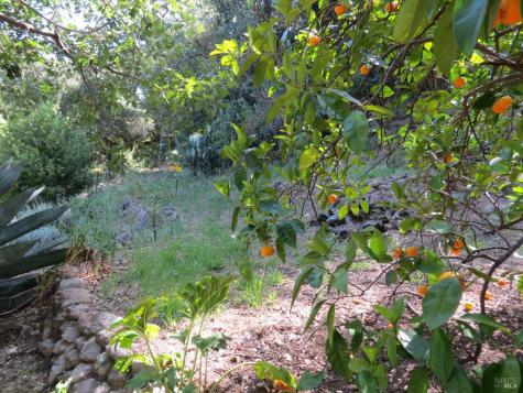 17153 Park Avenue Sonoma CA 95476