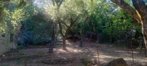17153 Park Avenue Sonoma CA 95476