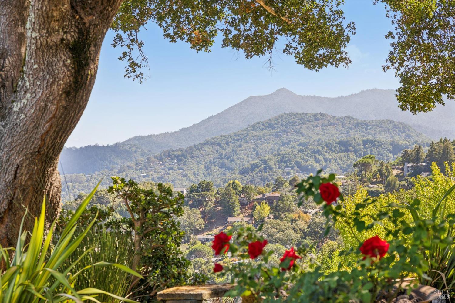 150 W Oak Knoll Drive San Anselmo CA 94960
