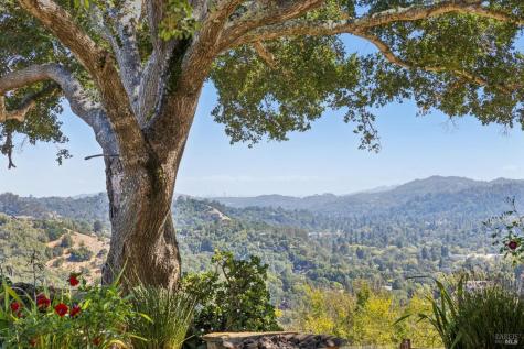 150 W Oak Knoll Drive San Anselmo CA 94960