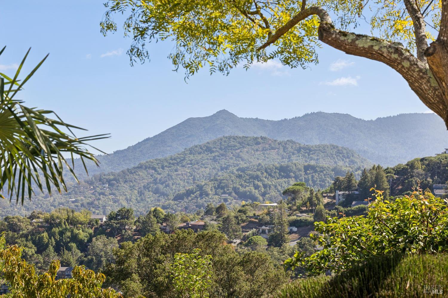 150 W Oak Knoll Drive San Anselmo CA 94960