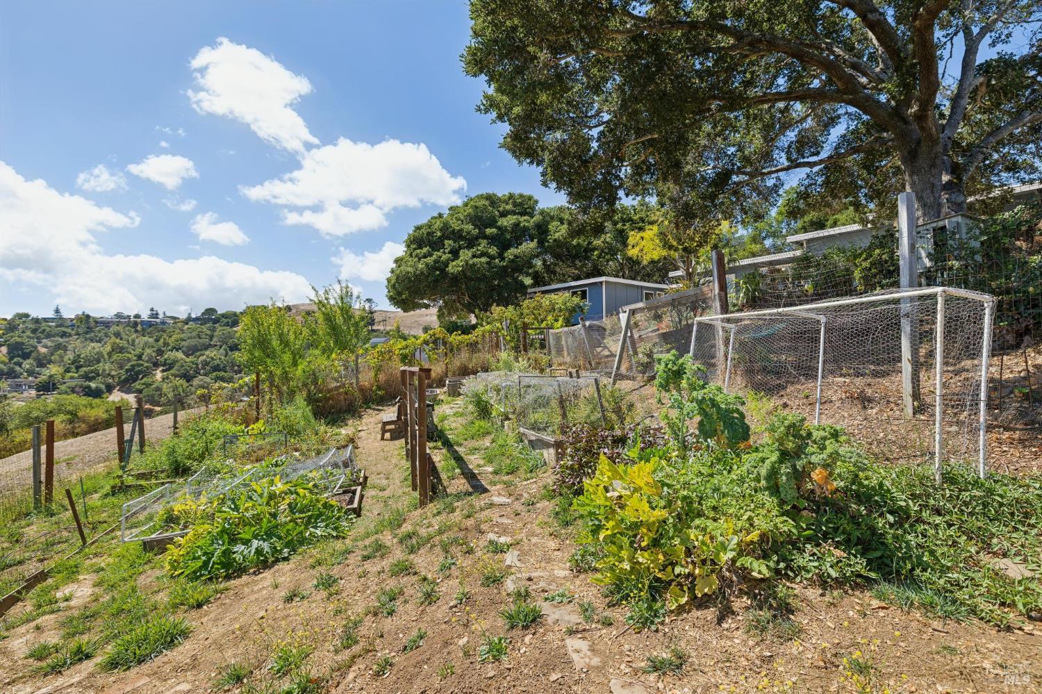 150 W Oak Knoll Drive San Anselmo CA 94960