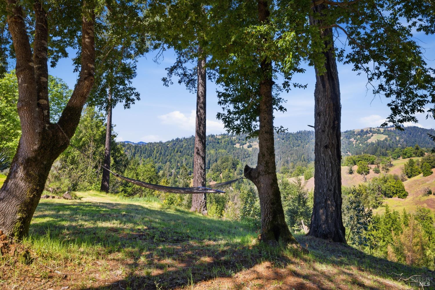 28812 Bohan Dillon Road Cazadero CA 95421