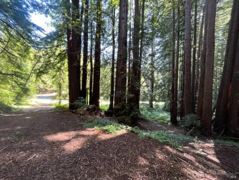 1355 Nicasio Valley Road Nicasio CA 94946