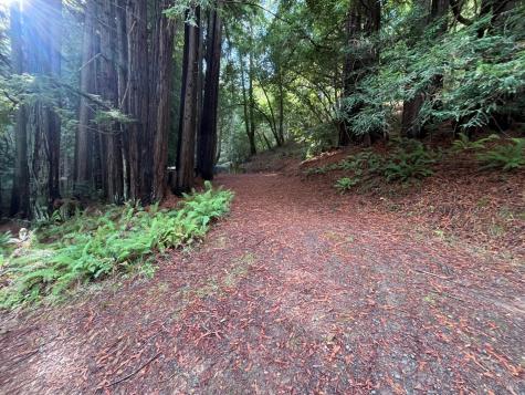 1355 Nicasio Valley Road Nicasio CA 94946
