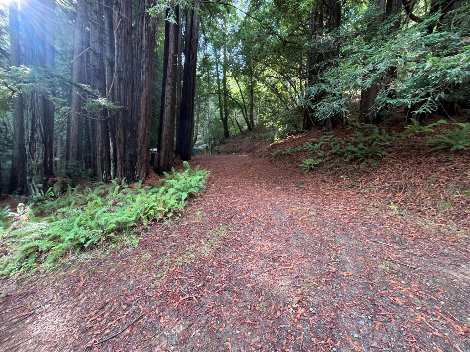 1355 Nicasio Valley Road Nicasio CA 94946