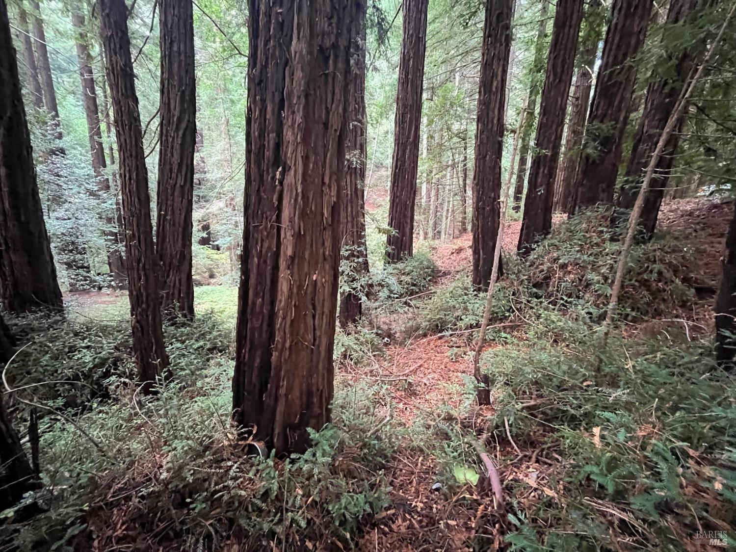 1355 Nicasio Valley Road Nicasio CA 94946
