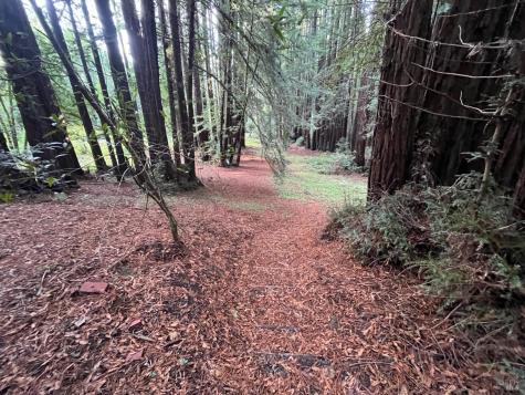 1355 Nicasio Valley Road Nicasio CA 94946