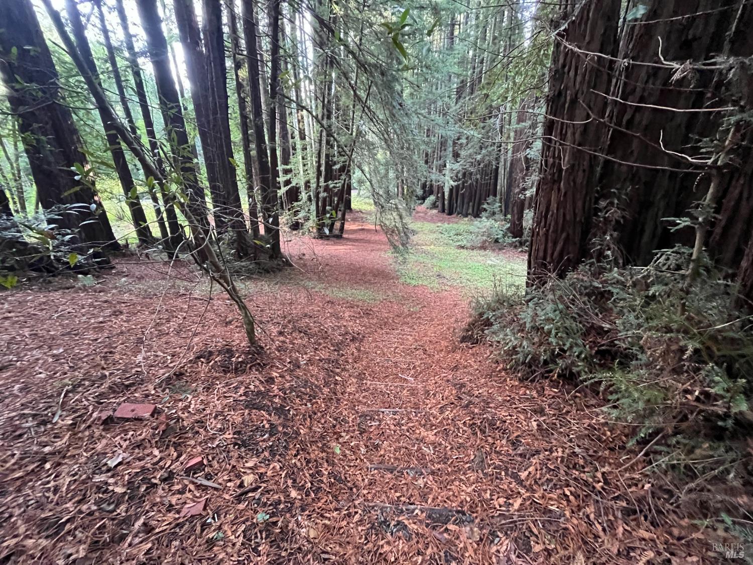 1355 Nicasio Valley Road Nicasio CA 94946