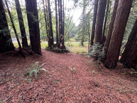 1355 Nicasio Valley Road Nicasio CA 94946