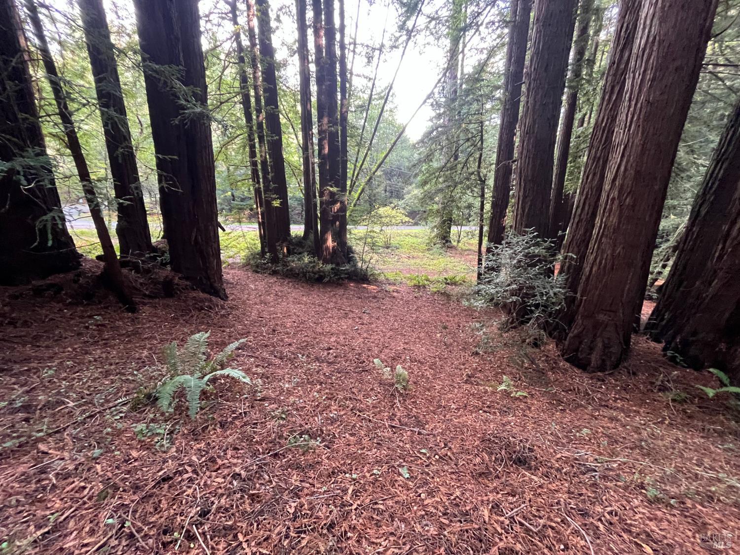 1355 Nicasio Valley Road Nicasio CA 94946