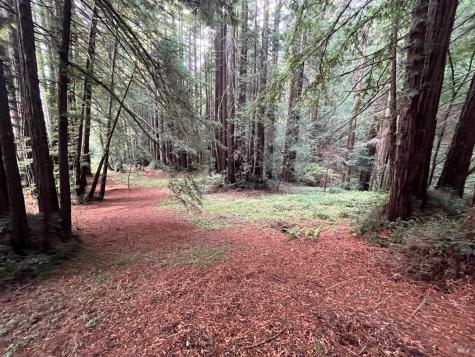 1355 Nicasio Valley Road Nicasio CA 94946