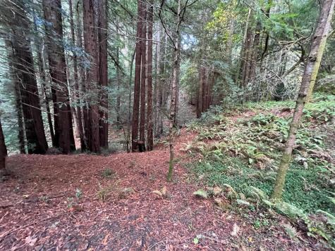 1355 Nicasio Valley Road Nicasio CA 94946