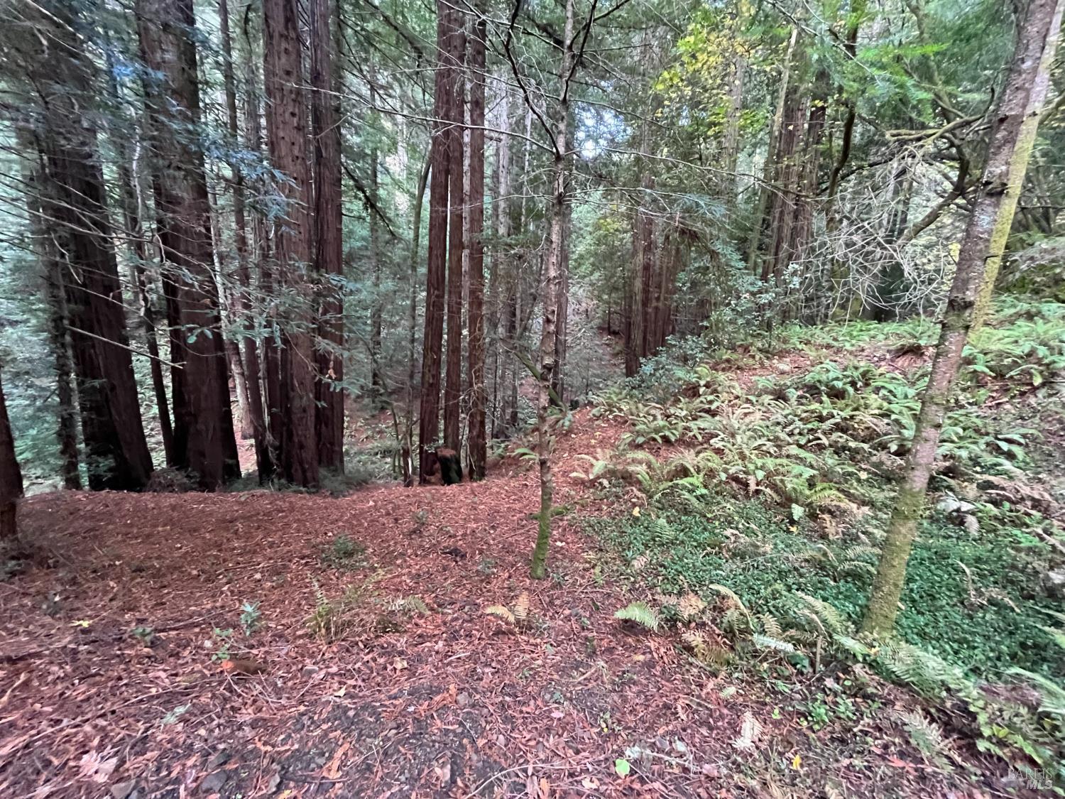 1355 Nicasio Valley Road Nicasio CA 94946