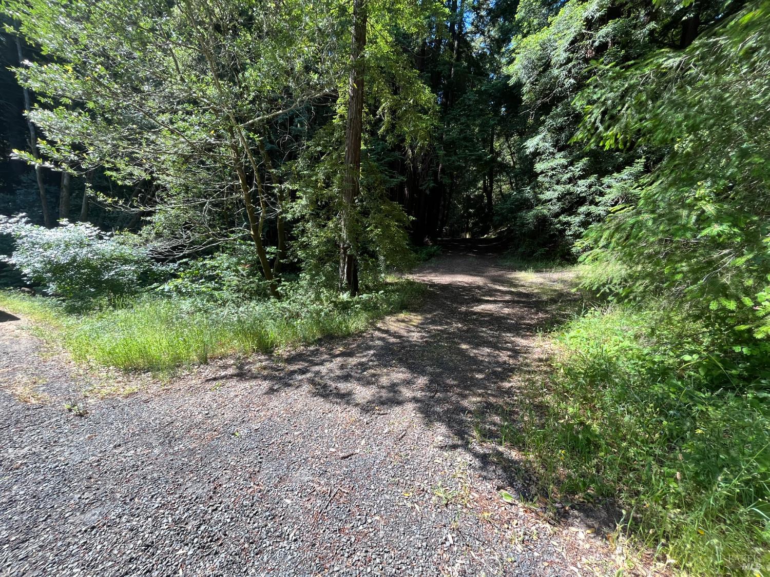 1355 Nicasio Valley Road Nicasio CA 94946