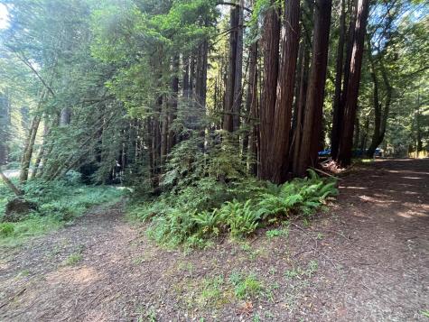 1355 Nicasio Valley Road Nicasio CA 94946