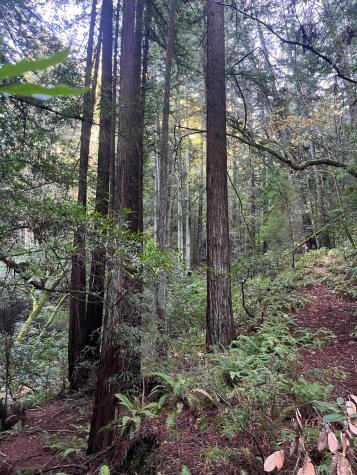1355 Nicasio Valley Road Nicasio CA 94946
