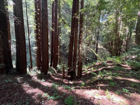 1355 Nicasio Valley Road Nicasio CA 94946