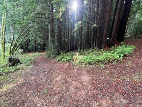 1355 Nicasio Valley Road Nicasio CA 94946