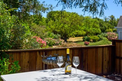 533 Carnation Court Sonoma CA 95476
