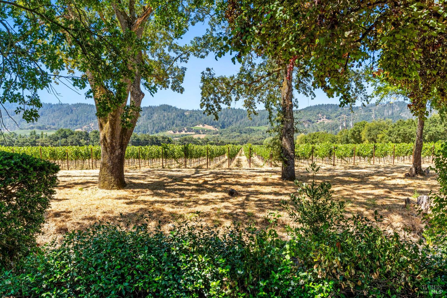 1225 Oakville Grade Road Oakville CA 94562