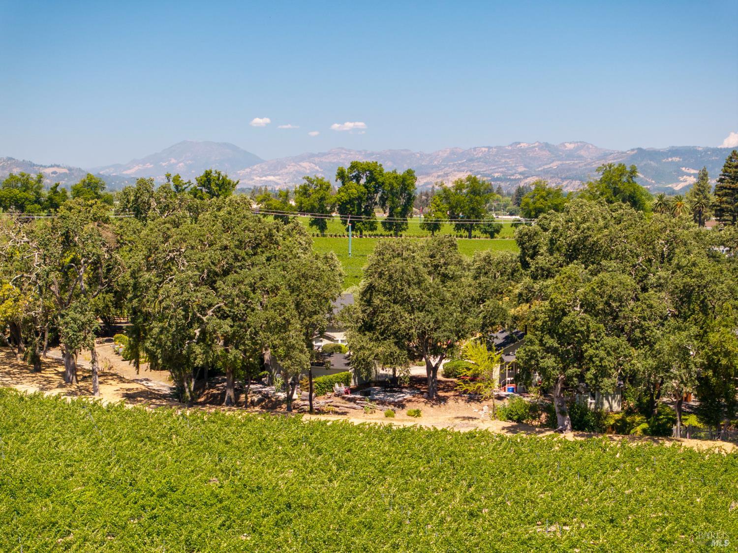 1225 Oakville Grade Road Oakville CA 94562