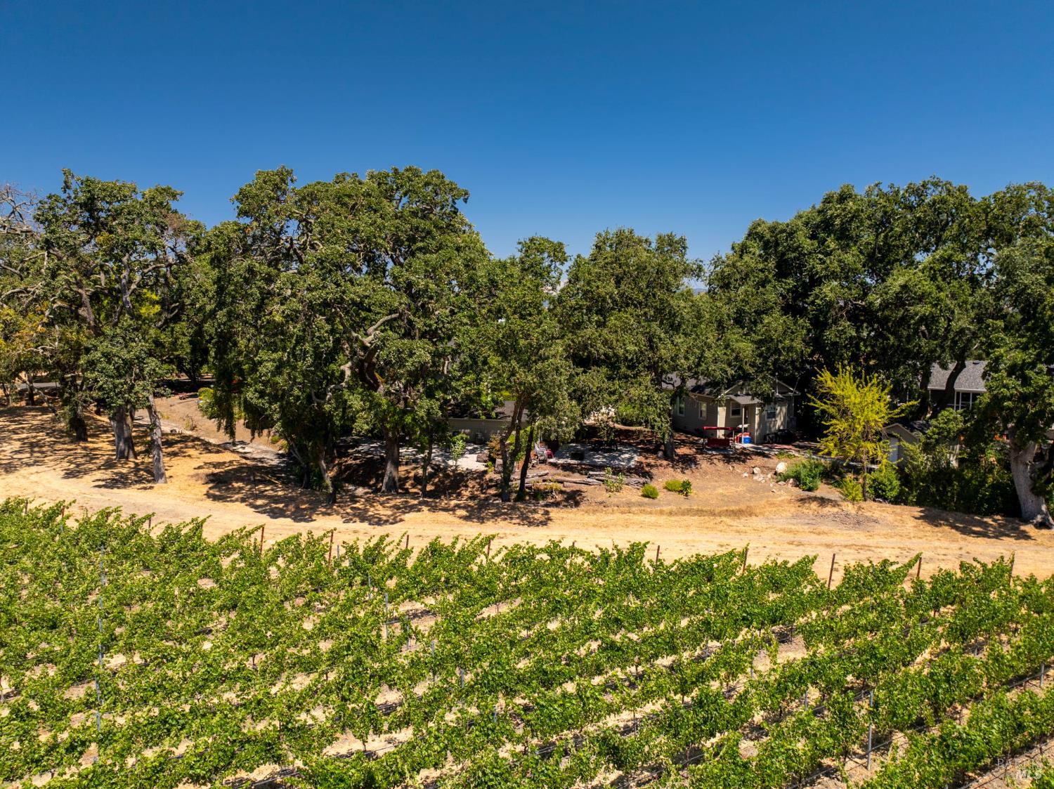 1225 Oakville Grade Road Oakville CA 94562