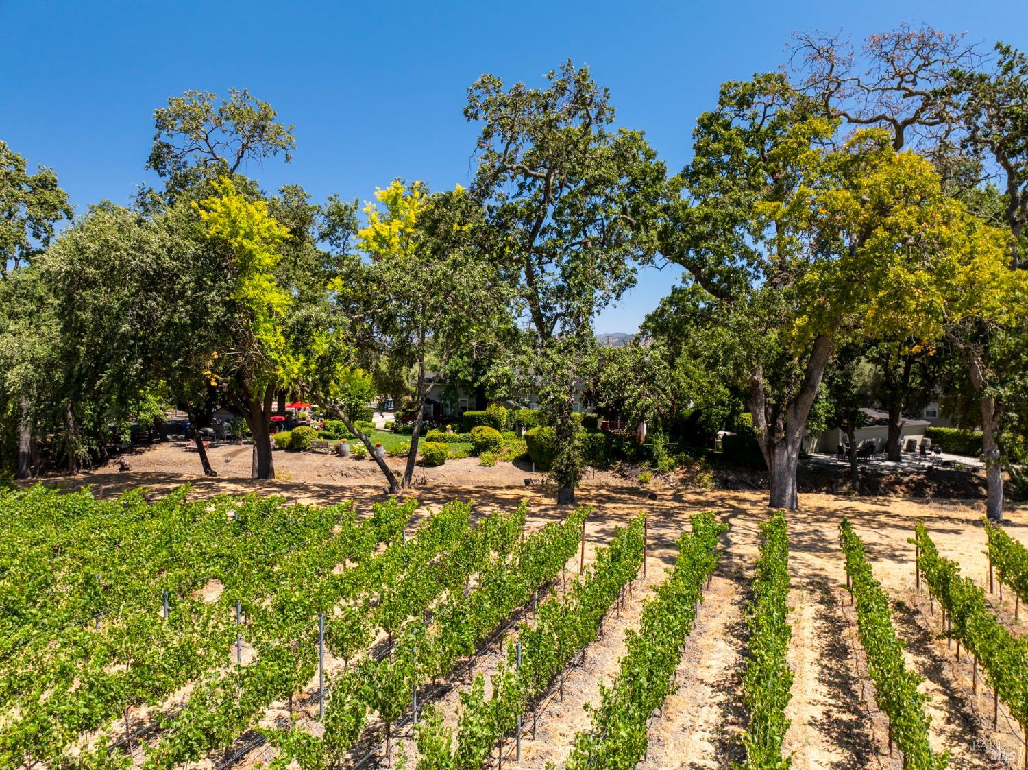 1225 Oakville Grade Road Oakville CA 94562