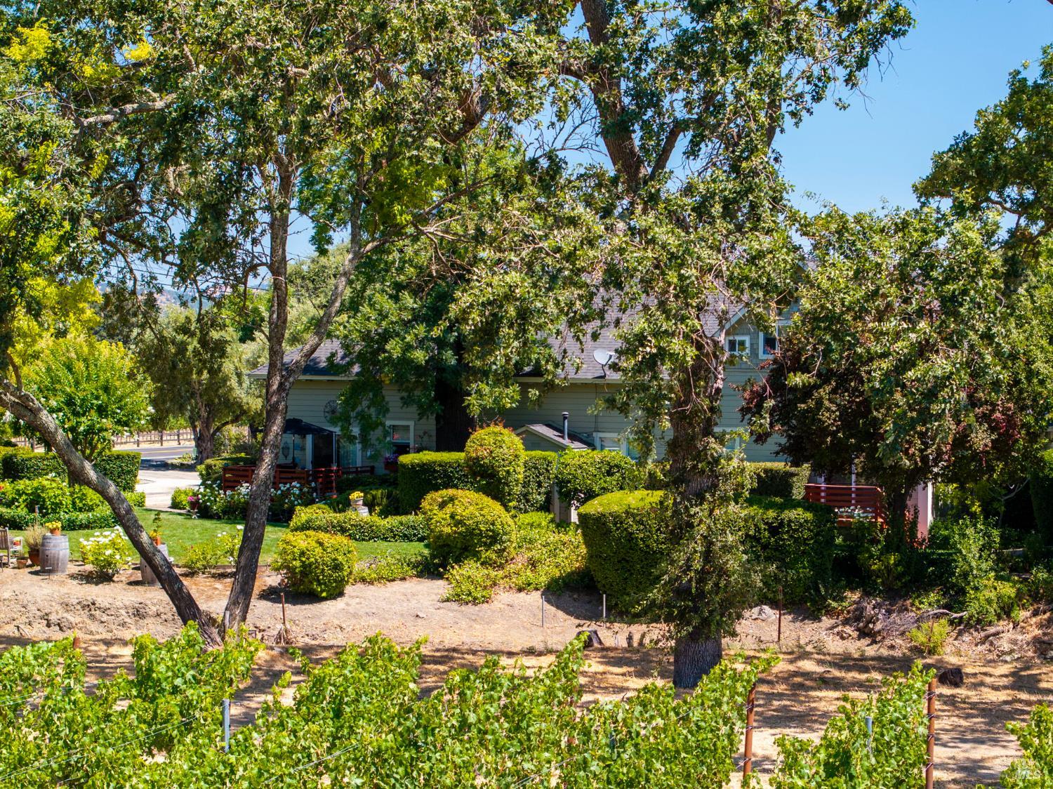 1225 Oakville Grade Road Oakville CA 94562