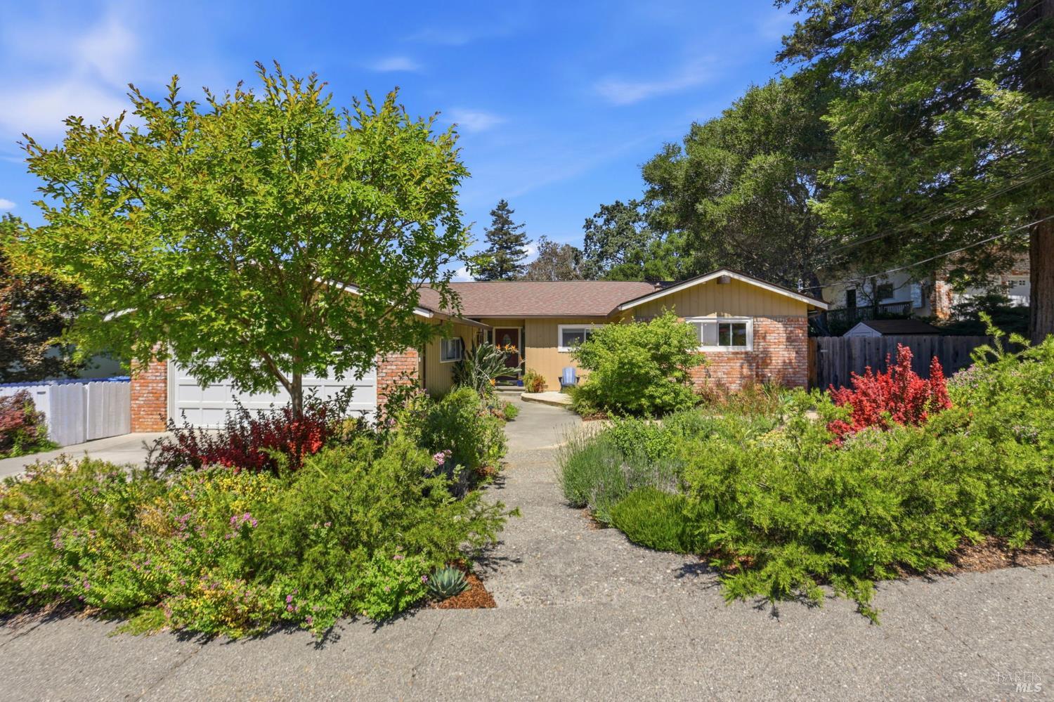 3 Tilden Drive Novato CA 94947