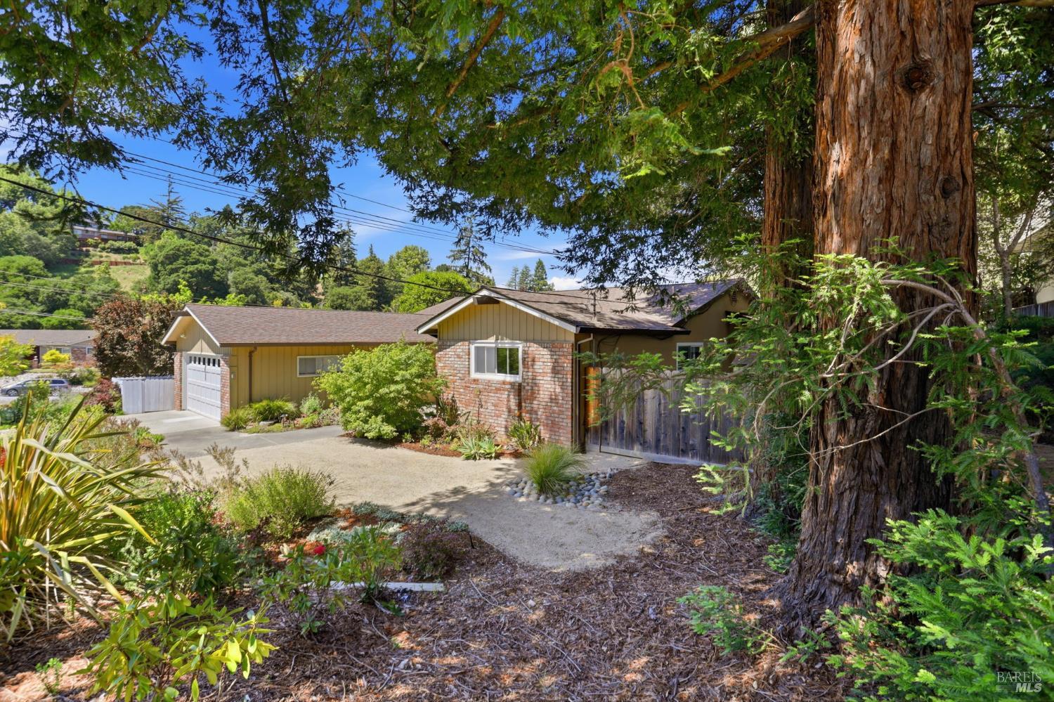 3 Tilden Drive Novato CA 94947