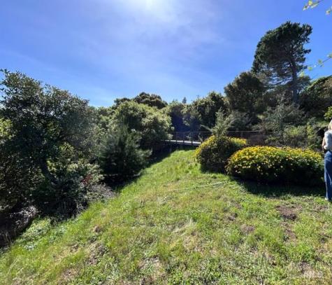 145 Antonette Drive Tiburon CA 94920