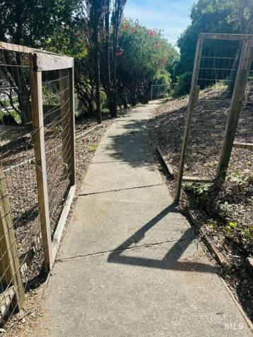 145 Antonette Drive Tiburon CA 94920