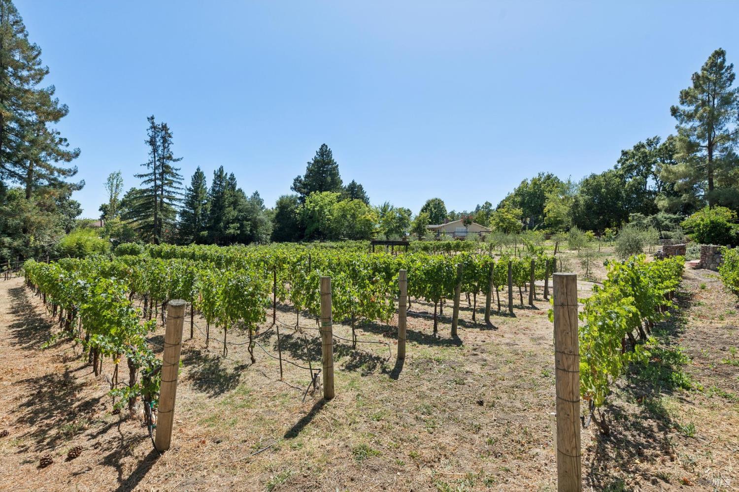 1685 Estee Avenue Napa CA 94558