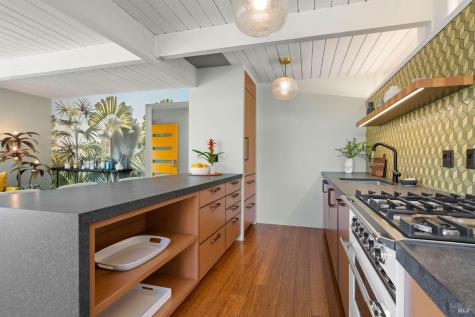 676 Cedarberry Lane San Rafael CA 94903