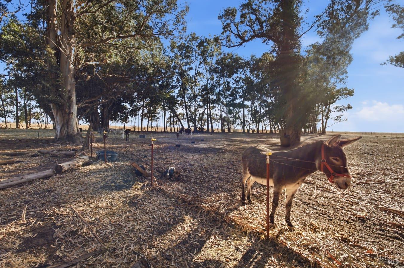4791 Cook Lane Dixon CA 95620