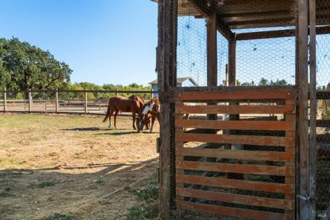 5111 Todd Road Sebastopol CA 95472