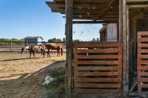 5111 Todd Road Sebastopol CA 95472