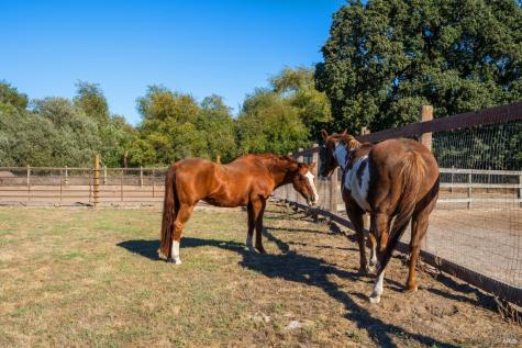 5111 Todd Road Sebastopol CA 95472