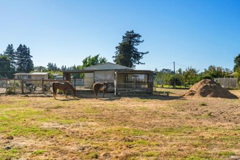 5111 Todd Road Sebastopol CA 95472