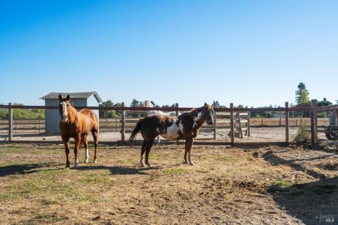 5111 Todd Road Sebastopol CA 95472