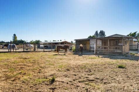 5111 Todd Road Sebastopol CA 95472