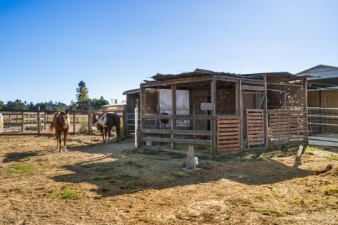 5111 Todd Road Sebastopol CA 95472