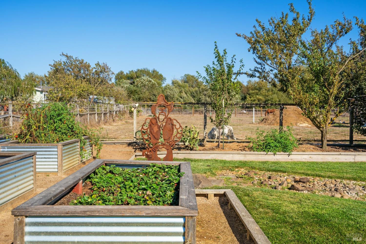 5111 Todd Road Sebastopol CA 95472