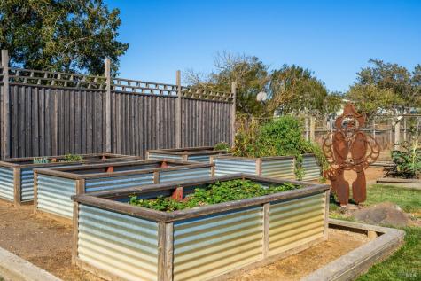 5111 Todd Road Sebastopol CA 95472