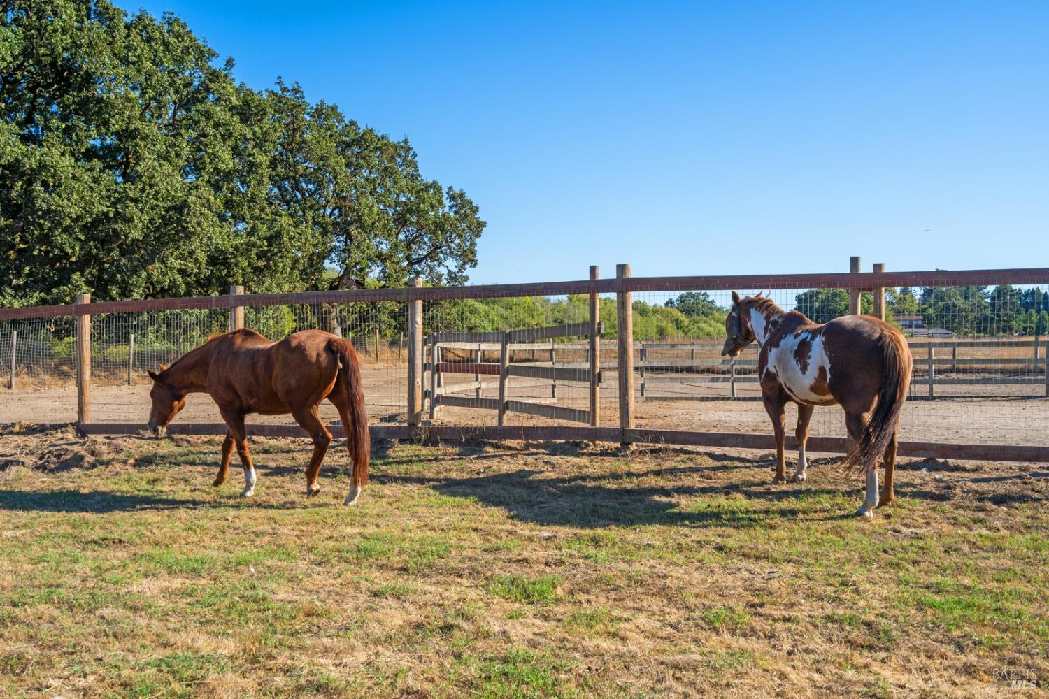 5111 Todd Road Sebastopol CA 95472