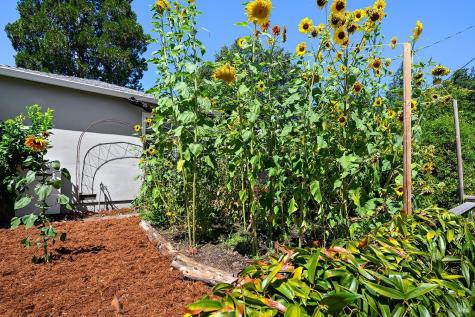 313 N Jefferson Street Cloverdale CA 95425