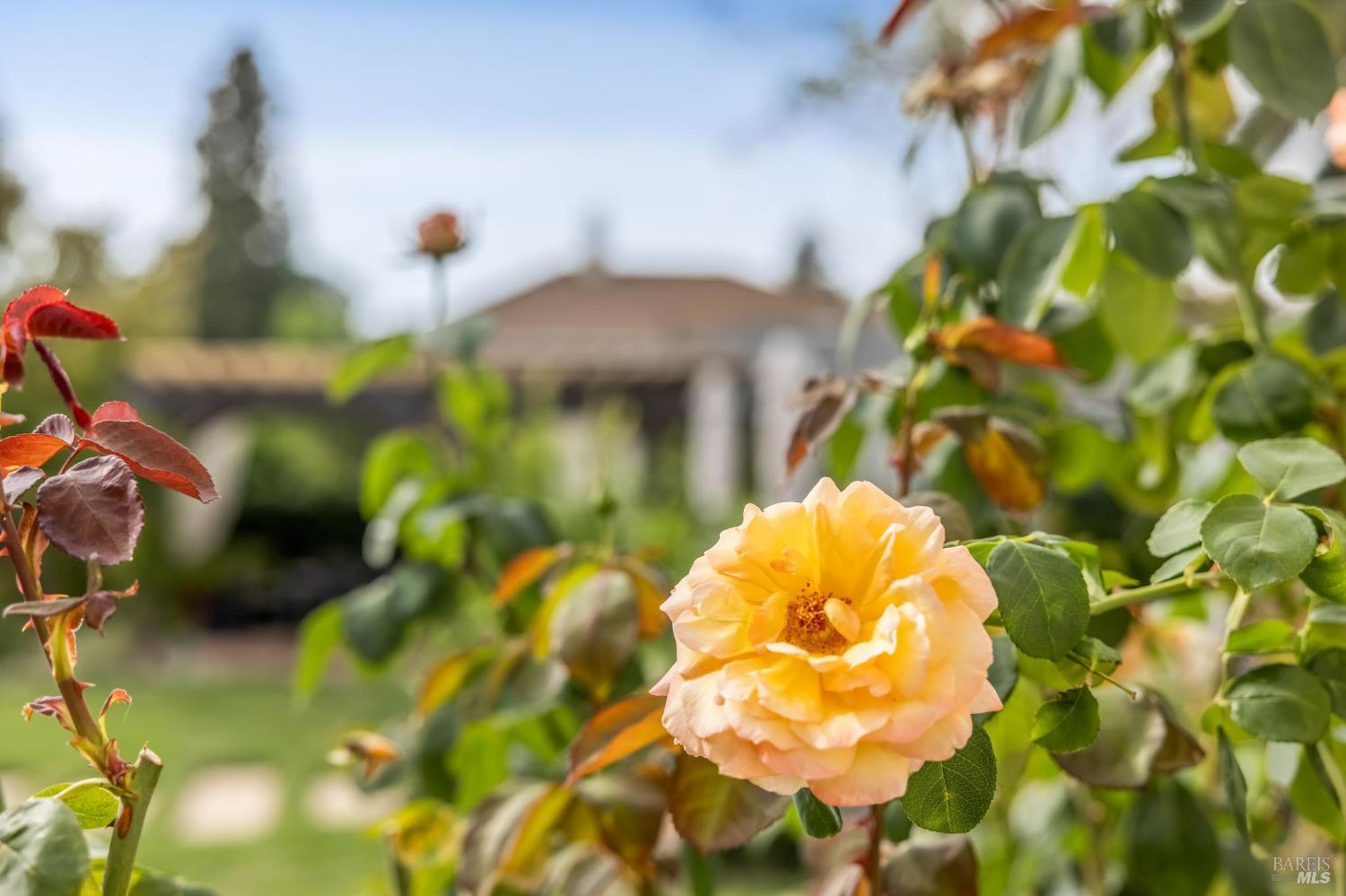 483 E Napa Street Sonoma CA 95476