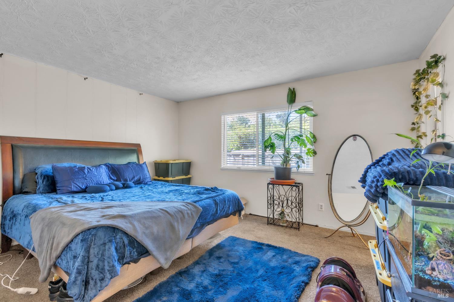 224 Elwood Street Suisun City CA 94585