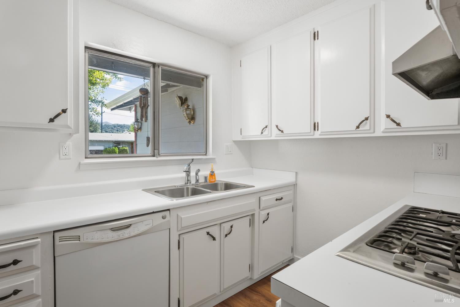 250 Washo Drive Ukiah CA 95482